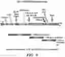 Fig. 10 - VECTORS COMPRISING A NUCLEIC ACID ENCODING LYSOSOMAL ENZYMES FUSED TO A LYSOSOMAL TEARGETING SEQUENCE