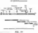 Fig. 11 - VECTORS COMPRISING A NUCLEIC ACID ENCODING LYSOSOMAL ENZYMES FUSED TO A LYSOSOMAL TEARGETING SEQUENCE