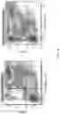 Fig. 09 - HIGHLY EFFICIENT TRANSDUCTION AND LATERAL SPREAD IN THE RETINA BY A NOVEL AAV VIRUS ENHANCED BY RATIONAL DESIGN