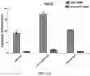 Fig. 21 - HIGHLY EFFICIENT TRANSDUCTION AND LATERAL SPREAD IN THE RETINA BY A NOVEL AAV VIRUS ENHANCED BY RATIONAL DESIGN