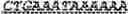 Fig. 08 - Gene Therapy