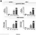 Fig. 24 - Gene Therapy