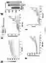 Fig. 27 - Gene Therapy