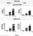 Fig. 28 - Gene Therapy