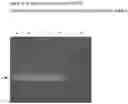 Fig. 01 - SINGLE DOMAIN ANTIBODY TARGETING aVB3 INTEGRIN
