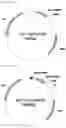 Fig. 13 - SINGLE DOMAIN ANTIBODY TARGETING aVB3 INTEGRIN