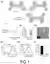 Fig. 02 - OPTICALLY HEAT-GENERATING COMPOSITE MATERIAL, NANOCLUSTER, SUBSTANCE DELIVERY CARRIER AND PHARMACEUTICAL COMPOSITION