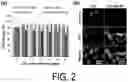 Fig. 03 - OPTICALLY HEAT-GENERATING COMPOSITE MATERIAL, NANOCLUSTER, SUBSTANCE DELIVERY CARRIER AND PHARMACEUTICAL COMPOSITION
