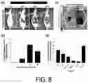 Fig. 09 - OPTICALLY HEAT-GENERATING COMPOSITE MATERIAL, NANOCLUSTER, SUBSTANCE DELIVERY CARRIER AND PHARMACEUTICAL COMPOSITION