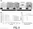 Fig. 10 - OPTICALLY HEAT-GENERATING COMPOSITE MATERIAL, NANOCLUSTER, SUBSTANCE DELIVERY CARRIER AND PHARMACEUTICAL COMPOSITION