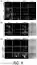 Fig. 12 - OPTICALLY HEAT-GENERATING COMPOSITE MATERIAL, NANOCLUSTER, SUBSTANCE DELIVERY CARRIER AND PHARMACEUTICAL COMPOSITION