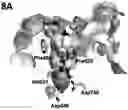 Fig. 01 - HDAC6 inhibitors and imaging agents