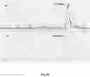 Fig. 09 - Small Molecules for Dual Function Positron Emission Tomography (PET) and Cell Suicide Switches
