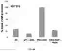 Fig. 12 - Small Molecules for Dual Function Positron Emission Tomography (PET) and Cell Suicide Switches