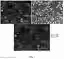 Fig. 13 - Small Molecules for Dual Function Positron Emission Tomography (PET) and Cell Suicide Switches