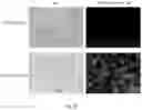 Fig. 19 - Small Molecules for Dual Function Positron Emission Tomography (PET) and Cell Suicide Switches