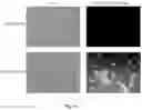 Fig. 20 - Small Molecules for Dual Function Positron Emission Tomography (PET) and Cell Suicide Switches