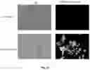 Fig. 21 - Small Molecules for Dual Function Positron Emission Tomography (PET) and Cell Suicide Switches