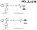 Fig. 25 - COXIB-DERIVED CONJUGATE COMPOUNDS AND METHODS OF USE THEREOF