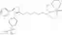 Fig. 38 - COXIB-DERIVED CONJUGATE COMPOUNDS AND METHODS OF USE THEREOF