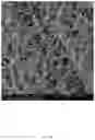 Fig. 05 - ELECTROSPUN BIOCOMPATIBLE FIBER COMPOSITIONS