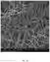 Fig. 06 - ELECTROSPUN BIOCOMPATIBLE FIBER COMPOSITIONS