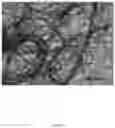 Fig. 09 - ELECTROSPUN BIOCOMPATIBLE FIBER COMPOSITIONS