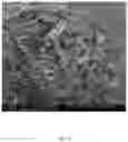 Fig. 10 - ELECTROSPUN BIOCOMPATIBLE FIBER COMPOSITIONS