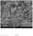 Fig. 12 - ELECTROSPUN BIOCOMPATIBLE FIBER COMPOSITIONS