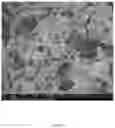 Fig. 13 - ELECTROSPUN BIOCOMPATIBLE FIBER COMPOSITIONS