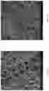 Fig. 04 - BIOCOMPATIBLE FIBER TEXTILES FOR IMPLANTATION