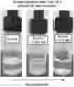 Fig. 01 - READY-TO-USE ESTHETIC COMPOSITIONS