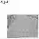 Fig. 04 - THREE-DIMENSIONAL TISSUE BODY, METHOD FOR PRODUCING SAME, AND FORMATION AGENT FOR THREE-DIMENSIONAL TISSUE BODY