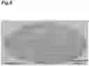 Fig. 09 - THREE-DIMENSIONAL TISSUE BODY, METHOD FOR PRODUCING SAME, AND FORMATION AGENT FOR THREE-DIMENSIONAL TISSUE BODY