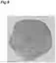Fig. 10 - THREE-DIMENSIONAL TISSUE BODY, METHOD FOR PRODUCING SAME, AND FORMATION AGENT FOR THREE-DIMENSIONAL TISSUE BODY