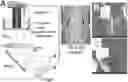 Fig. 01 - 3D-PRINTED BIORESORBABLE ALL-POLYMER COMPOSITE SOFT TISSUE SCAFFOLDS