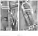 Fig. 14 - 3D-PRINTED BIORESORBABLE ALL-POLYMER COMPOSITE SOFT TISSUE SCAFFOLDS