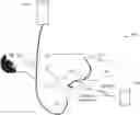 Fig. 01 - INTRAPERITONEAL PRESSURE (