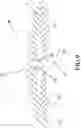 Fig. 10 - Elastic physiological patch