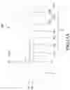 Fig. 12 - Elastic physiological patch