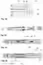 Fig. 06 - ELECTRICAL INFORMATION DEVICE FOR COMMUNICATING INFORMATION RELATED TO A MEDICAMENT DELIVERY