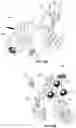 Fig. 24 - Injection device