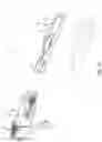 Fig. 08 - AUTO-INJECTOR WITH ACTUATION PREVENTION CAP