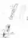 Fig. 08 - AUTO-INJECTOR WITH CAP