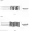 Fig. 05 - STRETCHABLE ELECTRODE ASSEMBLY