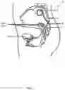 Fig. 06 - DEVICES AND METHODS FOR REMOTE PROGRAMMING OF IMPLANTED NEUROSTIMULATION SYSTEMS