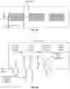 Fig. 09 - DEVICES AND METHODS FOR REMOTE PROGRAMMING OF IMPLANTED NEUROSTIMULATION SYSTEMS