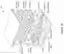 Fig. 46 - ENERGY AUGMENTATION STRUCTURES FOR MEASURING AND THERAPEUTIC USES