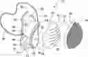 Fig. 01 - Interchangeable Filter Facemask Apparatus