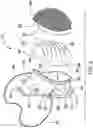 Fig. 04 - Interchangeable Filter Facemask Apparatus